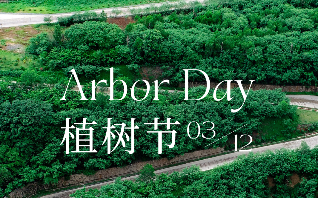 植树节 | 尊龙凯时的绿色画卷