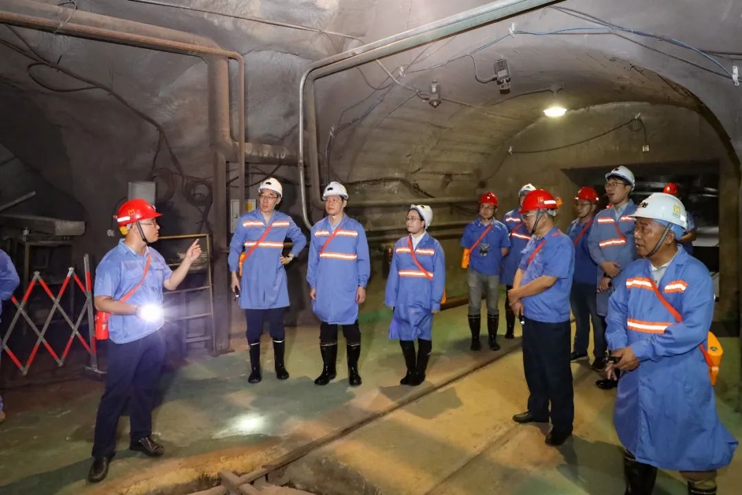 昌江县委书记陈儒茂到尊龙凯时调研