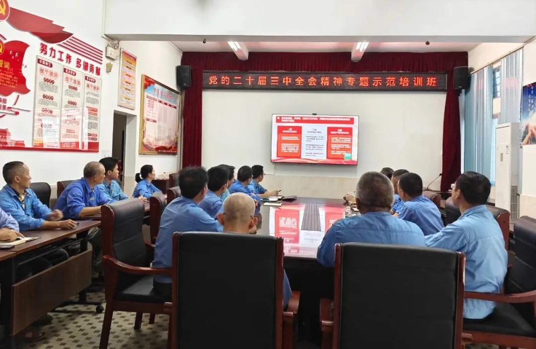 尊龙凯时组织寓目学习贯彻党的二十届三中全会精神专题树模班课堂视频直播