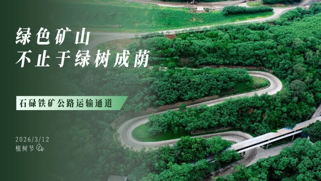 植树节 | 绿色矿山，，，，不止于绿树成荫
